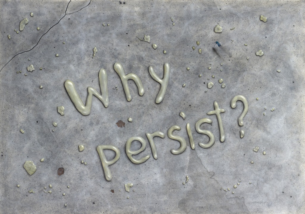 Why persist?